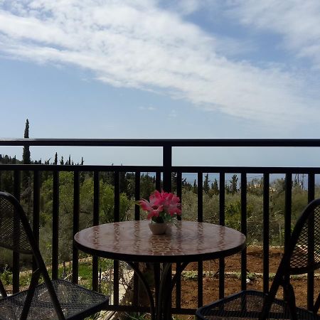 Rodon Apartments Tsoukaladhes Luaran gambar
